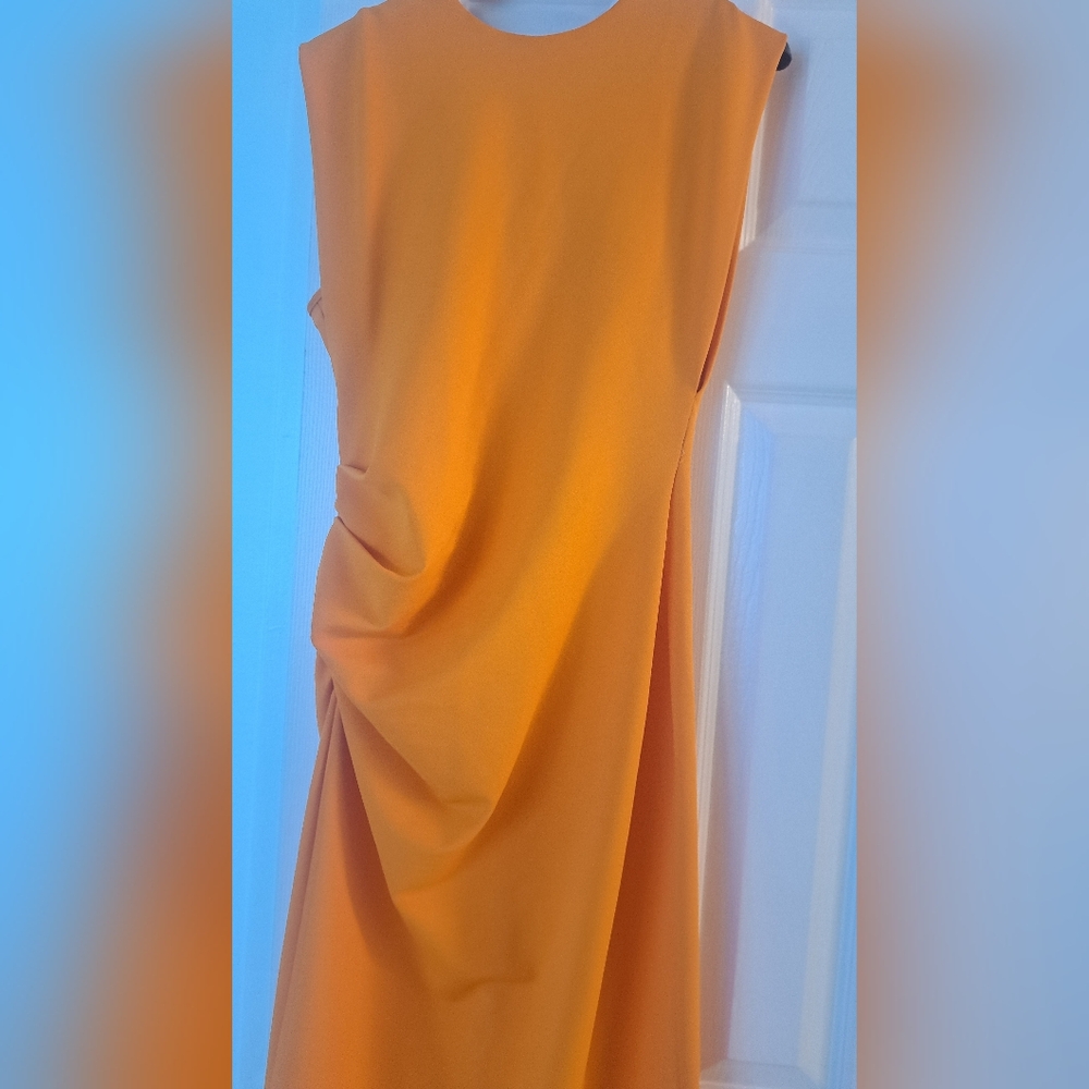 Zara dress
